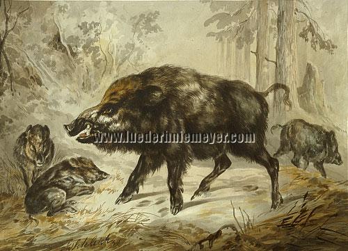 August Schleich, Troop of Boars